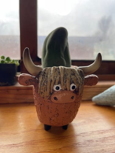 Customer photo review of Trichocereus bridgesii monstrose | Penis Cactus | Long Form