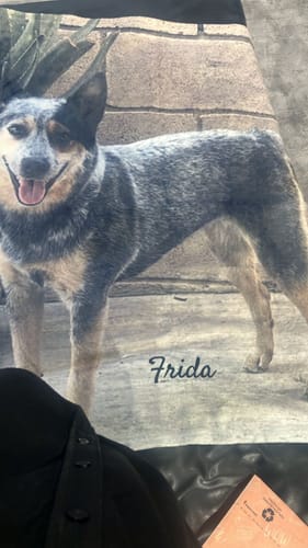 Customer photo review of Cobija frazada personalizable