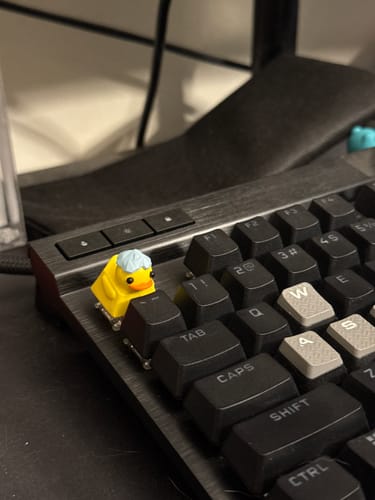 Customer photo review of Quackey - Fidget Toy that Quacks!