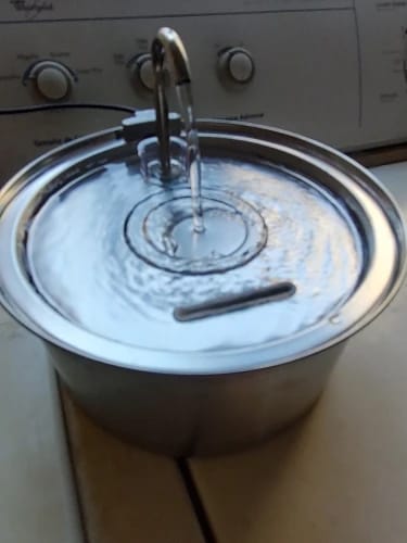 Customer photo review of HydraFlow™ Stainless Steel Pet Water Fountain – Ultra-Quiet, USB-Powered Hydration Station