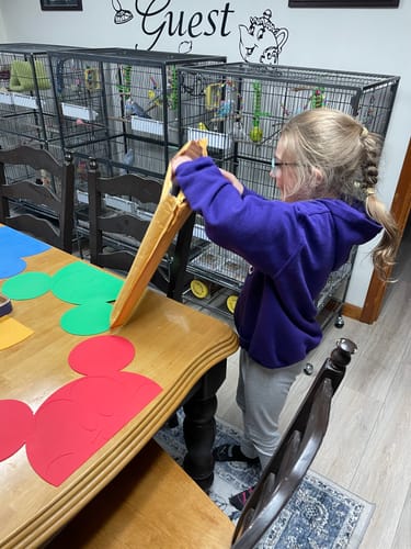 Thomas A. review of The Beauty and the Enchanted Rose image 1 out of 3