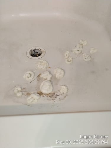 undefined review of Floor Crack Repair - Tub and Shower Repair Kit image 1 out of 5