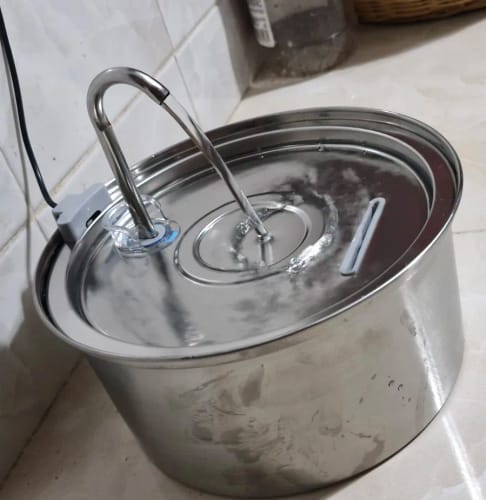 Customer photo review of HydraFlow™ Stainless Steel Pet Water Fountain – Ultra-Quiet, USB-Powered Hydration Station