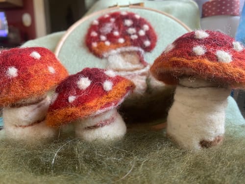 Debra S. review of Sophie Wheatley's Felted Fungi Supplies Box image 1 out of 1