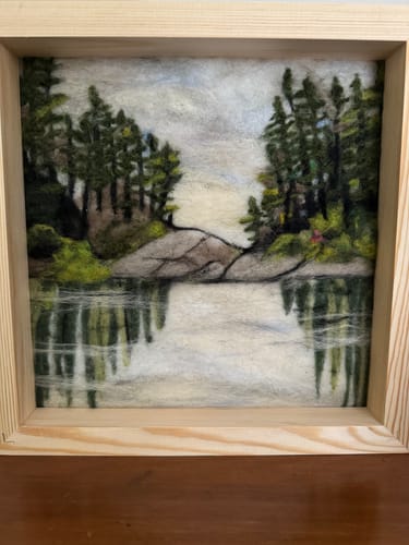 Customer photo review of Lake Reflections Needle Felting Kit