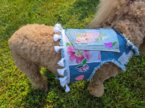 Customer photo review of Tassel Patchwork Harness