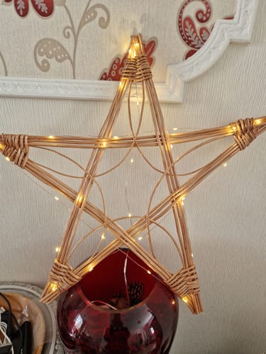 Customer photo review of Getting Started with Willow