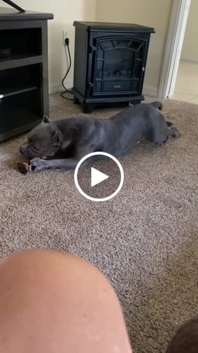Customer video review of Smoked Beef Marrow Bone