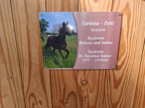 Customer photo review of Pferde Boxenschild mit Foto & Wunschtext (UV- und wetterfest)