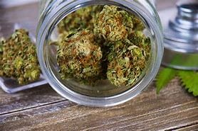 Customer photo review of Cheap THCA Flower Pound (450g)