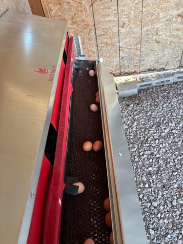 Customer photo review of Large (48") - Reversible Rollout Nest Box (Up to 50 Hens)