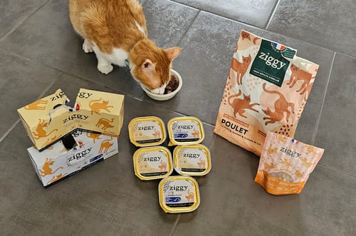 Avis photo d'un client sur Croquettes Chat Stérilisé Sans Céréales - Poulet