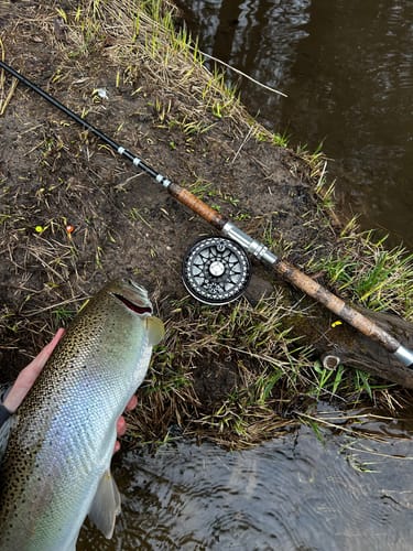 Customer photo review of Custom Float Build