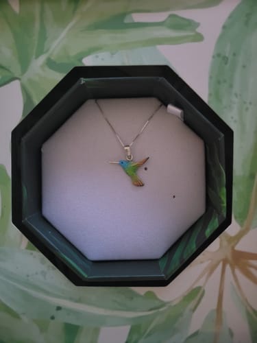 Customer photo review of Collar Colibrí Mediano