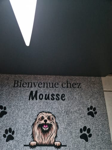 Customer photo review of Bienvenue chez - Paillasson personnalisé