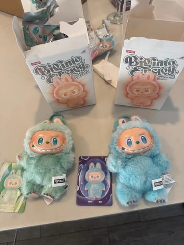 Customer photo review of THE MONSTERS Big into Energy Series-Vinyl Plush Pendant Blind Box