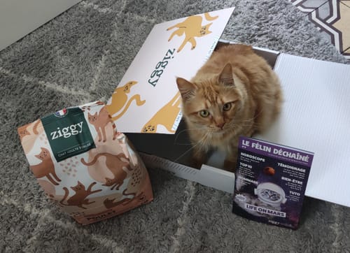 Avis photo d'un client sur Croquettes Chat Stérilisé Sans Céréales - Poulet