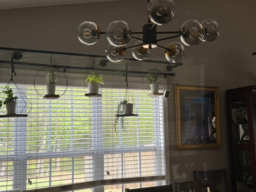 Customer photo review of Plant Food