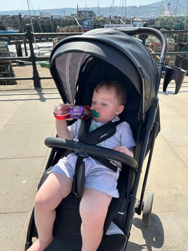 Customer photo review of Lejoux 365 Baby Stroller Pushchair Pram