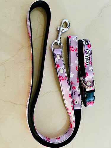 Customer photo review of Collar personalizado para Mascota: Lila