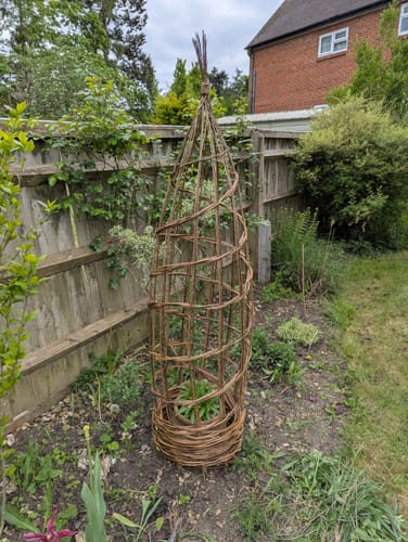 Customer photo review of The Willow Plant Support - Online Course and Kit