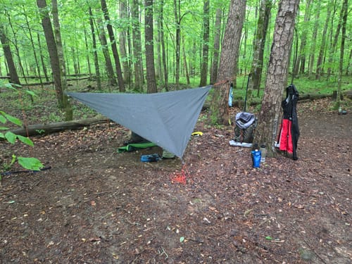 Customer photo review of Hydrava Camping Tensioner