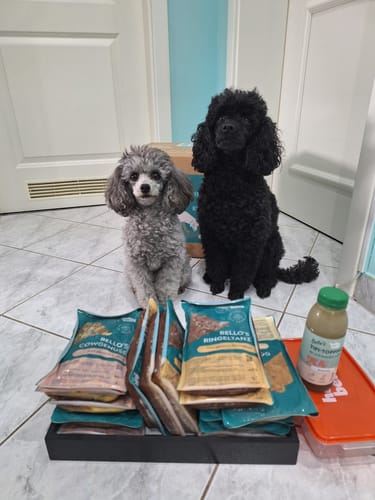 Customer photo review of Frischfutter für Energiebedarf von 426 kCal/Tag