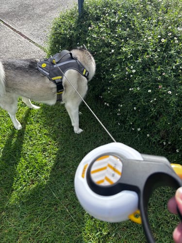 Customer photo review of FIDA AutoBrake Leash