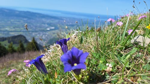 Customer photo review of The Zeeker 27L