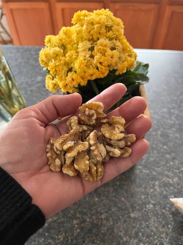 Customer photo review of GROUP BUY | Raw Walnuts (shelled) - 25 lbs