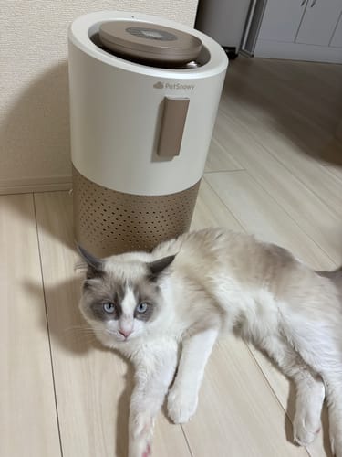 Customer photo review of ペット用空気清浄機