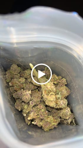 Customer video review of Raspberry Kush - 28 Grams - Minis (Indica)