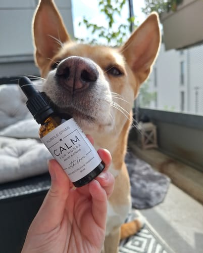 Customer photo review of CALM – NATÜRLICHES BERUHIGUNGSMITTEL HUNDE