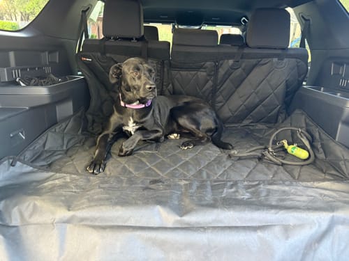 Customer photo review of SUV Cargo Liner for Fold Down Seats