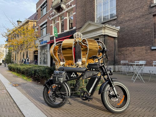 Customer photo review of CAVET Air