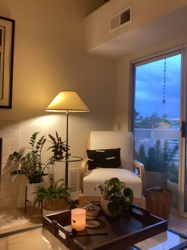 Customer photo review of Fungus Gnat Death Drops