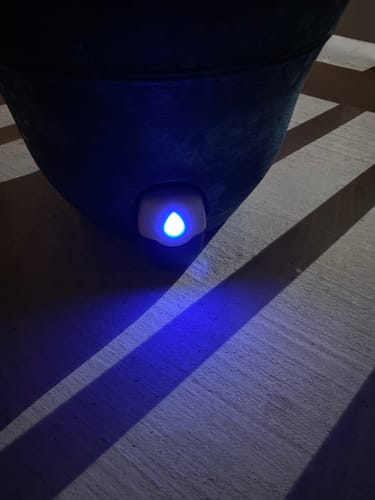 Customer photo review of Water Level Electronic Sensor for 15" Smart Self-Watering Planter