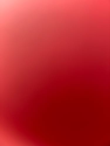 Customer photo review of Python Patched Fleece Lined Hooded Jacket