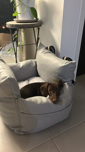 Customer photo review of Boujee Booster