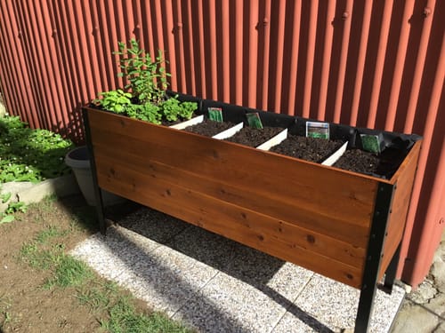 Customer photo review of Large Raised Garden Bed - 46cm x 153cm x 76cm