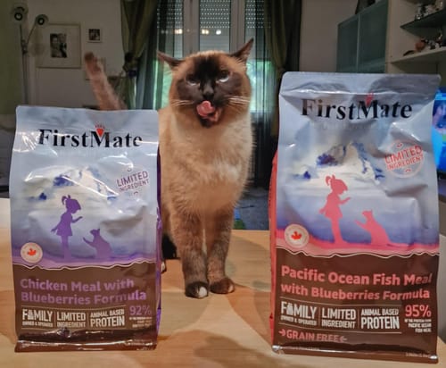 Customer photo review of Crocchette gatto formula Pollo e Mirtilli