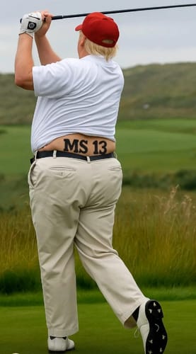 Customer photo review of Sub Zero Air Purification Cartridge 7042798