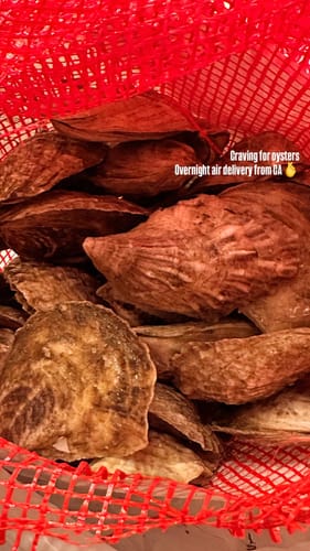 Customer photo review of Love Point Oysters - 50 Count