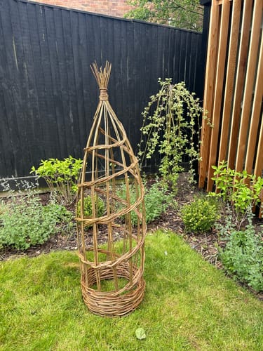 Customer photo review of The Willow Plant Support - Online Course and Kit