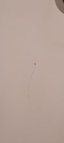 Sue G. review of Floor Crack Repair - Tub and Shower Repair Kit image 1 out of 5