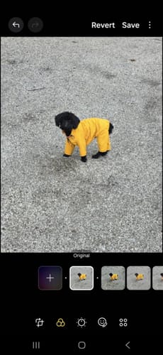 Customer photo review of Nylon Coverall