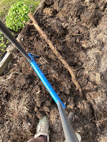 Customer photo review of The Square Foot Gardener Broadfork | 24" wide | 6 tines