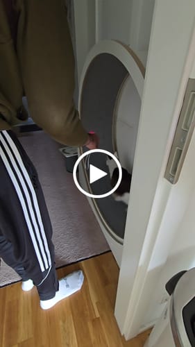 Yasmin N. review of Elmato Katzenlaufrad Simba image 1 out of 1