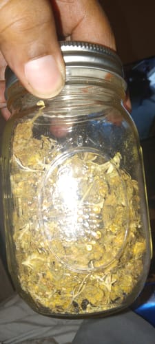 Customer photo review of Cheap THCA Flower Pound (450g)