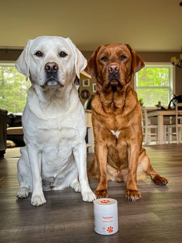 Customer photo review of Probiotic Chews